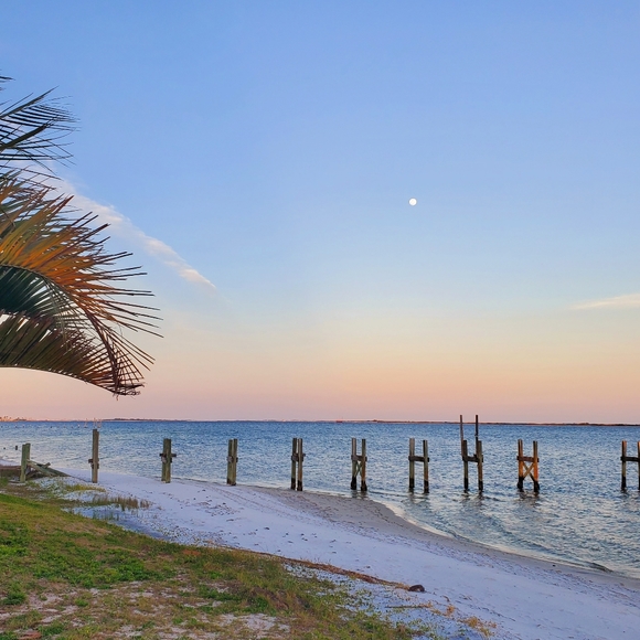 Meet your Posher, Melissa - Picture 2 of 2